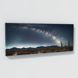 Southwestern Stellar Desert 81