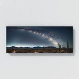 Southwestern Stellar Desert 81