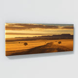 Southwestern Sunlit Rolling 68