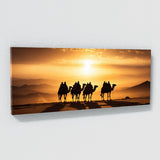 Silhouette Desert Dawn Caravan 64