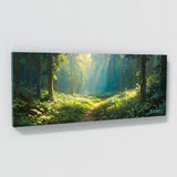 Relaxing Sunlit Forest Path 3