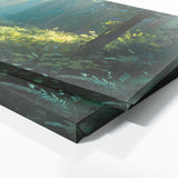 Relaxing Sunlit Forest Path 3