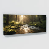 Relaxing Sunlit Forest Stream 67