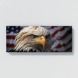 Patriot Patriotic Focus 70