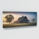 Barn Misty Morning 65