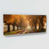 Autumn Glow Pathway 63