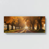 Autumn Glow Pathway 63