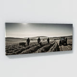 Farm Harvest Hustle 80