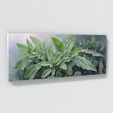 Sage Dewdrops 29