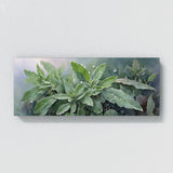 Sage Dewdrops 29
