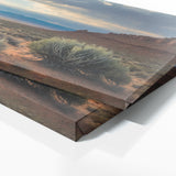 Sage Resilient Sagebrush Beauty 81