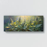 Sage Sunlight Symphony 54
