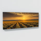 Sage Sunset Symphony 68