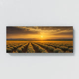 Sage Sunset Symphony 68