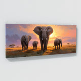 Safari Dusk March 4