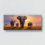 Safari Dusk March 4