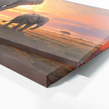 Safari Dusk March 4