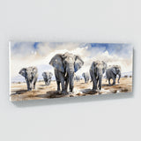 Safari Graceful Giants 26