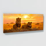 Safari Prides Dawn 1