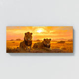Safari Prides Dawn 1