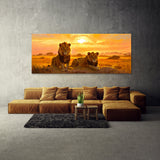 Safari Prides Dawn 1
