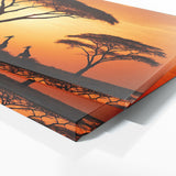 Safari Sunset 69