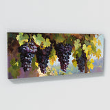 Fruits Sunlit Grapevine Elegance 54
