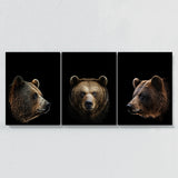 Animal Bear Wall Art