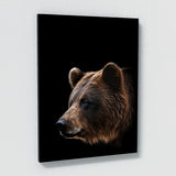 Animal Bear Wall Art