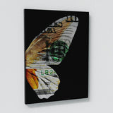 Butterfly Wall Art