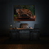 Bear Run Wall Art