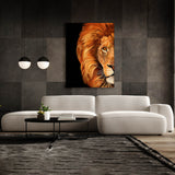 Lion Half Black Wall Art