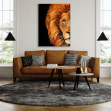 Lion Half Black Wall Art