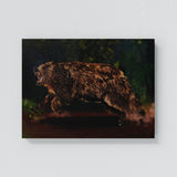 Bear Run Wall Art