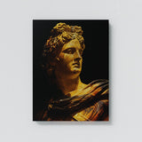 Apollo Sense Canvas