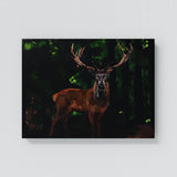 Deer Forest Wall Art
