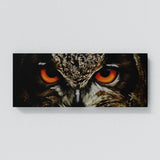 Owl Eyes Wall Art