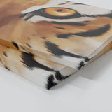 Tiger Eyes Wall Art