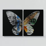 Butterfly Wall Art