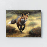 Fox Realistic Running Meadow 3 Wall Art