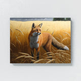 Fox Red In Wheat Field 8 Wall Art
