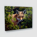 Fox Summer Landscape 35 Wall Art