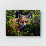 Fox Summer Landscape 35 Wall Art