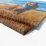 Fox Wheat Blue Sky 33 Wall Art