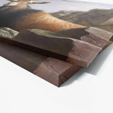Goat Horns Landscape 12 Wall Art
