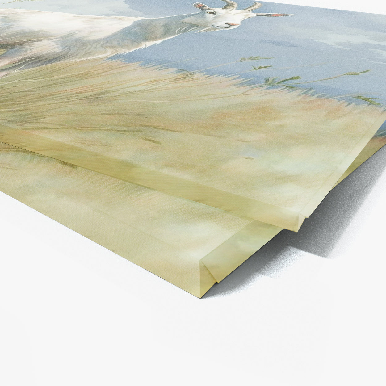 Goat Watercolor White Meadow 21 Wall Art