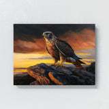 Hawk Atmospheric Sunset 8 Wall Art