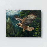 Hawk Flight Forest Background 13 Wall Art