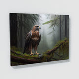 Hawk Realistic Forest Mist 2 Wall Art
