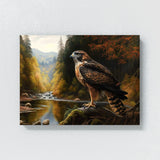 Hawk Realistic Forest River 22 Wall Art